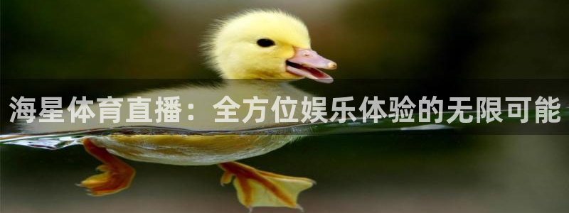 海星体育直播：全方位娱乐体验的无限可能