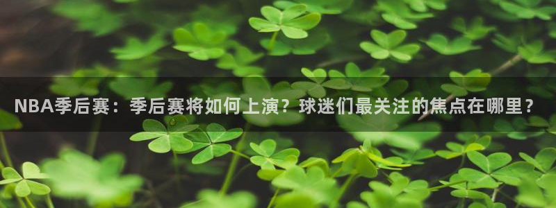 NBA季后赛：季后赛将如何上演？球迷们最关注的焦点在哪里？