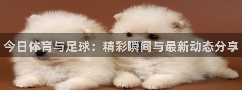 今日体育与足球：精彩瞬间与最新动态分享