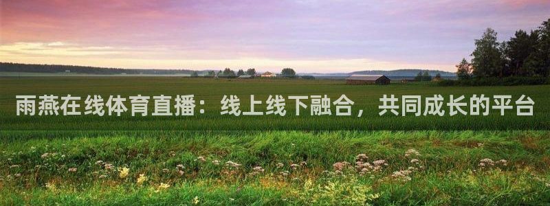 雨燕在线体育直播：线上线下融合，共同成长的平台