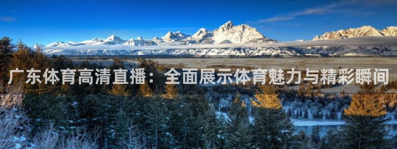 广东体育高清直播：全面展示体育魅力与精彩瞬间