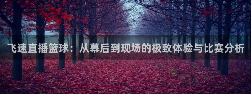 飞速直播篮球：从幕后到现场的极致体验与比赛分析