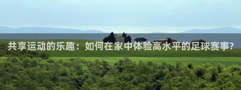 共享运动的乐趣：如何在家中体验高水平的足球赛事?