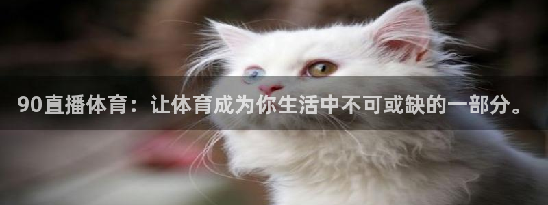 90直播体育：让体育成为你生活中不可或缺的一部分。