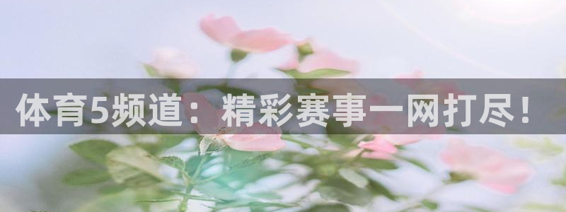 体育5频道：精彩赛事一网打尽！
