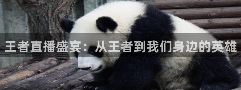 王者直播盛宴：从王者到我们身边的英雄