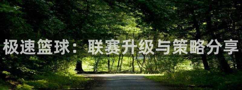 极速篮球：联赛升级与策略分享