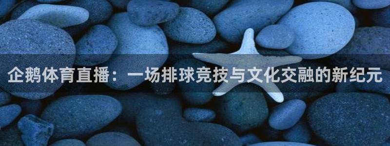 企鹅体育直播：一场排球竞技与文化交融的新纪元