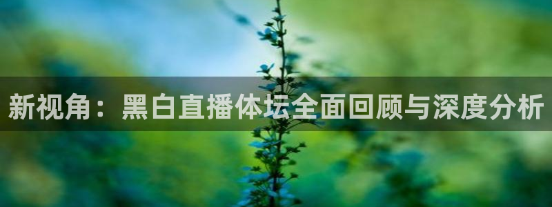 新视角：黑白直播体坛全面回顾与深度分析