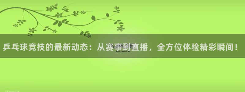 乒乓球竞技的最新动态：从赛事到直播，全方位体验精彩瞬间！