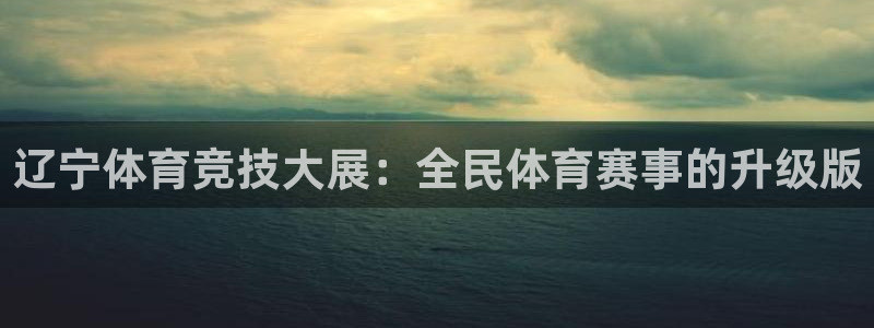辽宁体育竞技大展：全民体育赛事的升级版