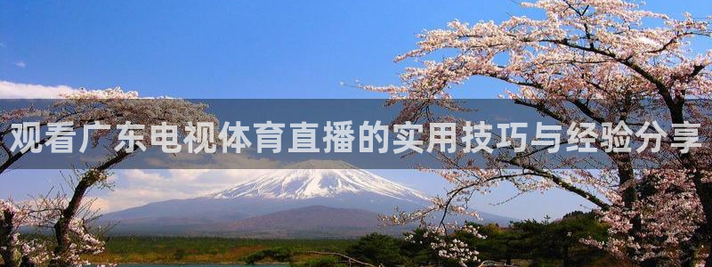 观看广东电视体育直播的实用技巧与经验分享
