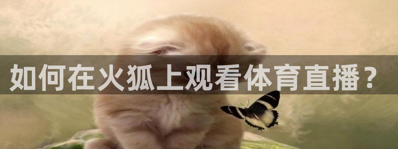 如何在火狐上观看体育直播？