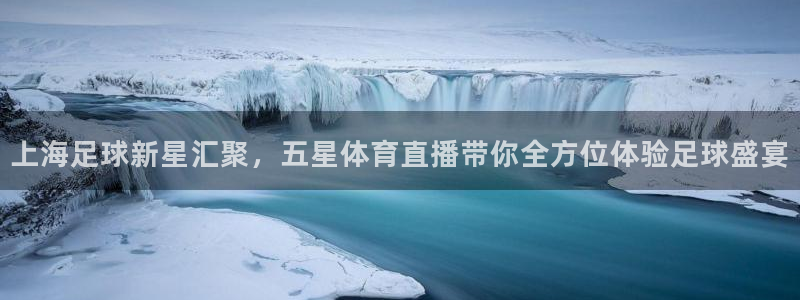 上海足球新星汇聚，五星体育直播带你全方位体验足球盛宴