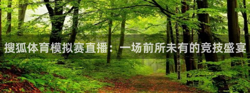搜狐体育模拟赛直播：一场前所未有的竞技盛宴