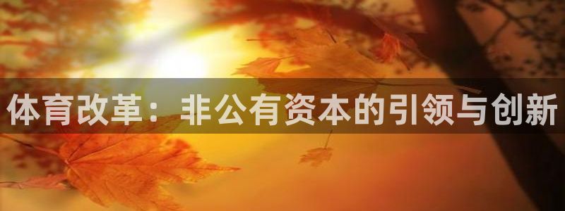 体育改革：非公有资本的引领与创新
