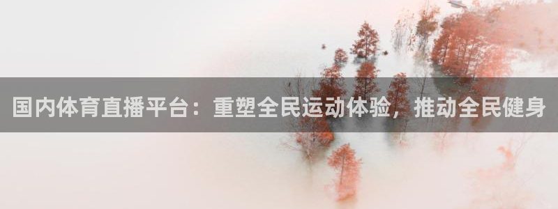 国内体育直播平台：重塑全民运动体验，推动全民健身