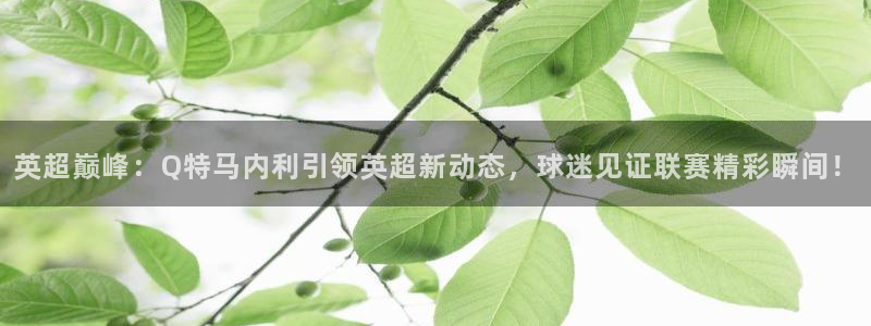 英超巅峰：Q特马内利引领英超新动态，球迷见证联赛精彩瞬间！
