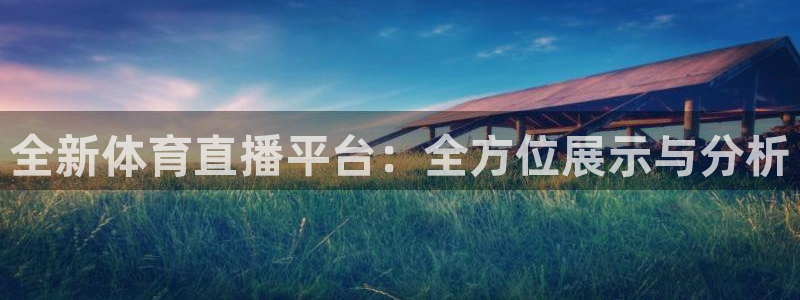 全新体育直播平台：全方位展示与分析