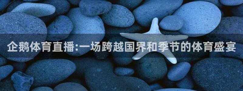 企鹅体育直播:一场跨越国界和季节的体育盛宴