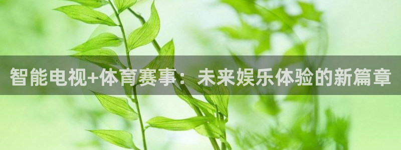 智能电视+体育赛事：未来娱乐体验的新篇章