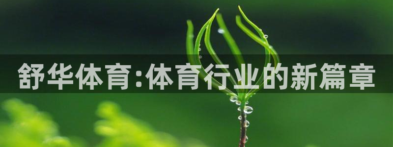 舒华体育:体育行业的新篇章