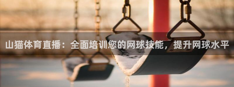 山猫体育直播：全面培训您的网球技能，提升网球水平