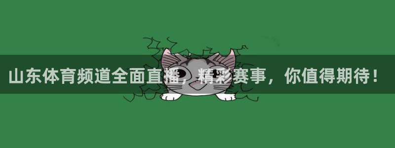 山东体育频道全面直播，精彩赛事，你值得期待！