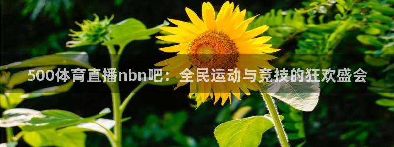 500体育直播nbn吧：全民运动与竞技的狂欢盛会