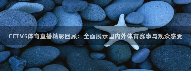 CCTV5体育直播精彩回顾：全面展示国内外体育赛事与观众感受